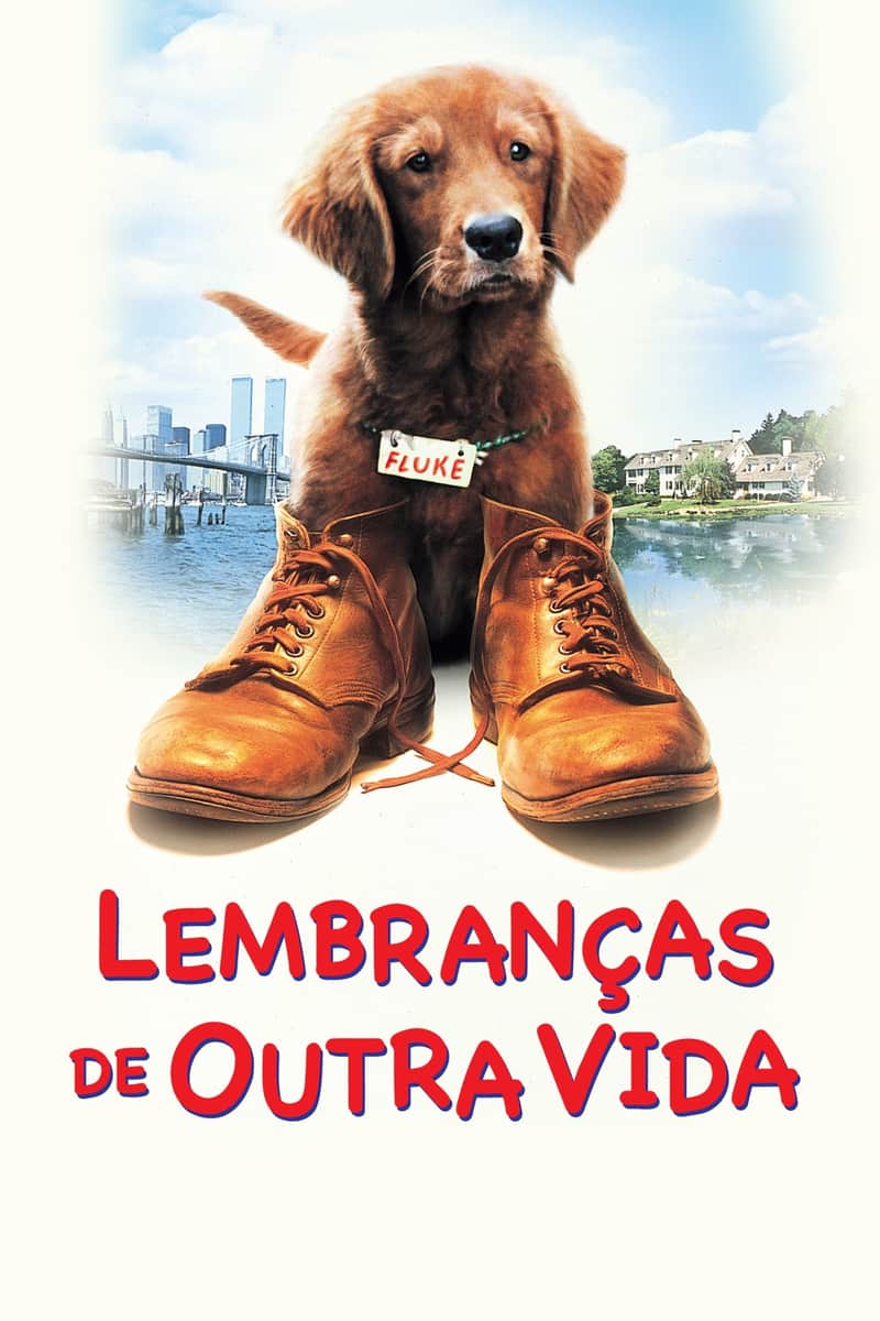 Fluke: Lembranças de Outra Vida