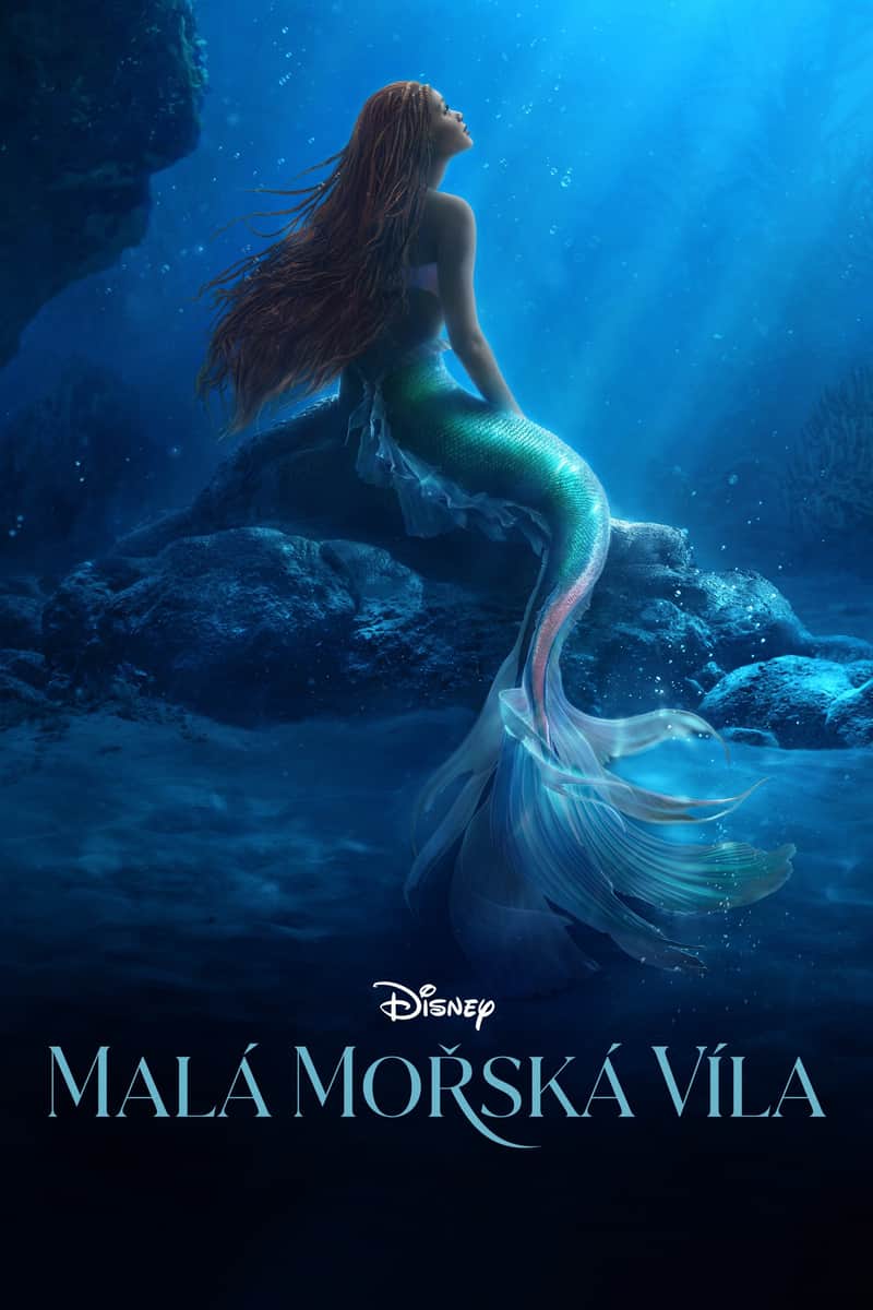 Malá mořská víla