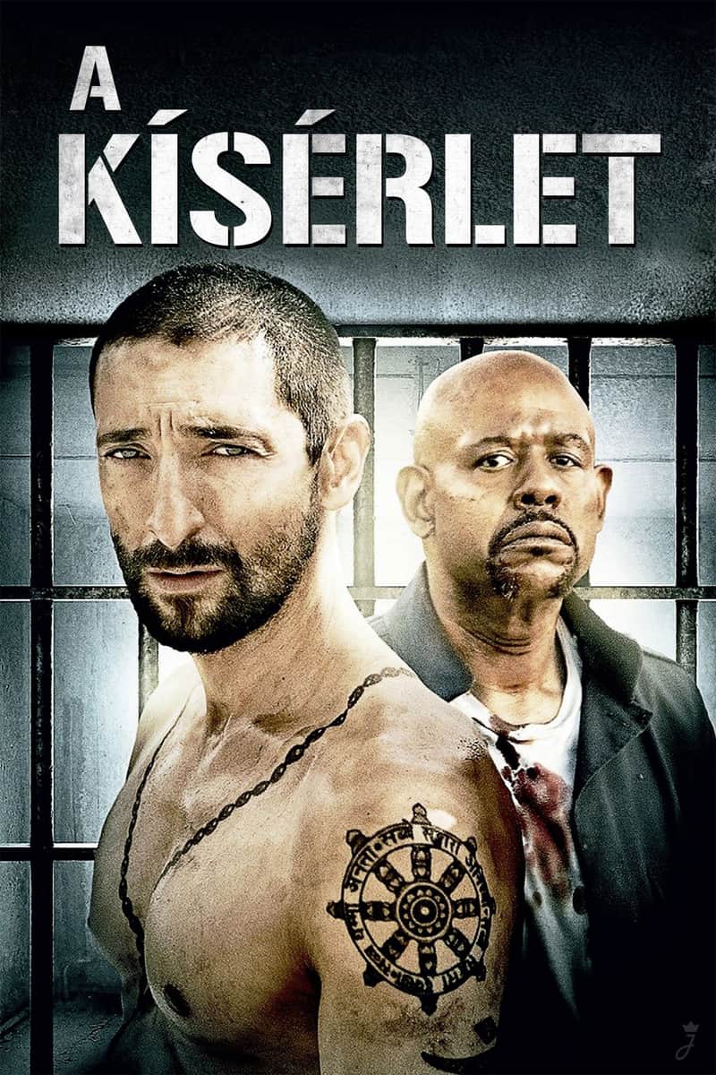 A kísérlet