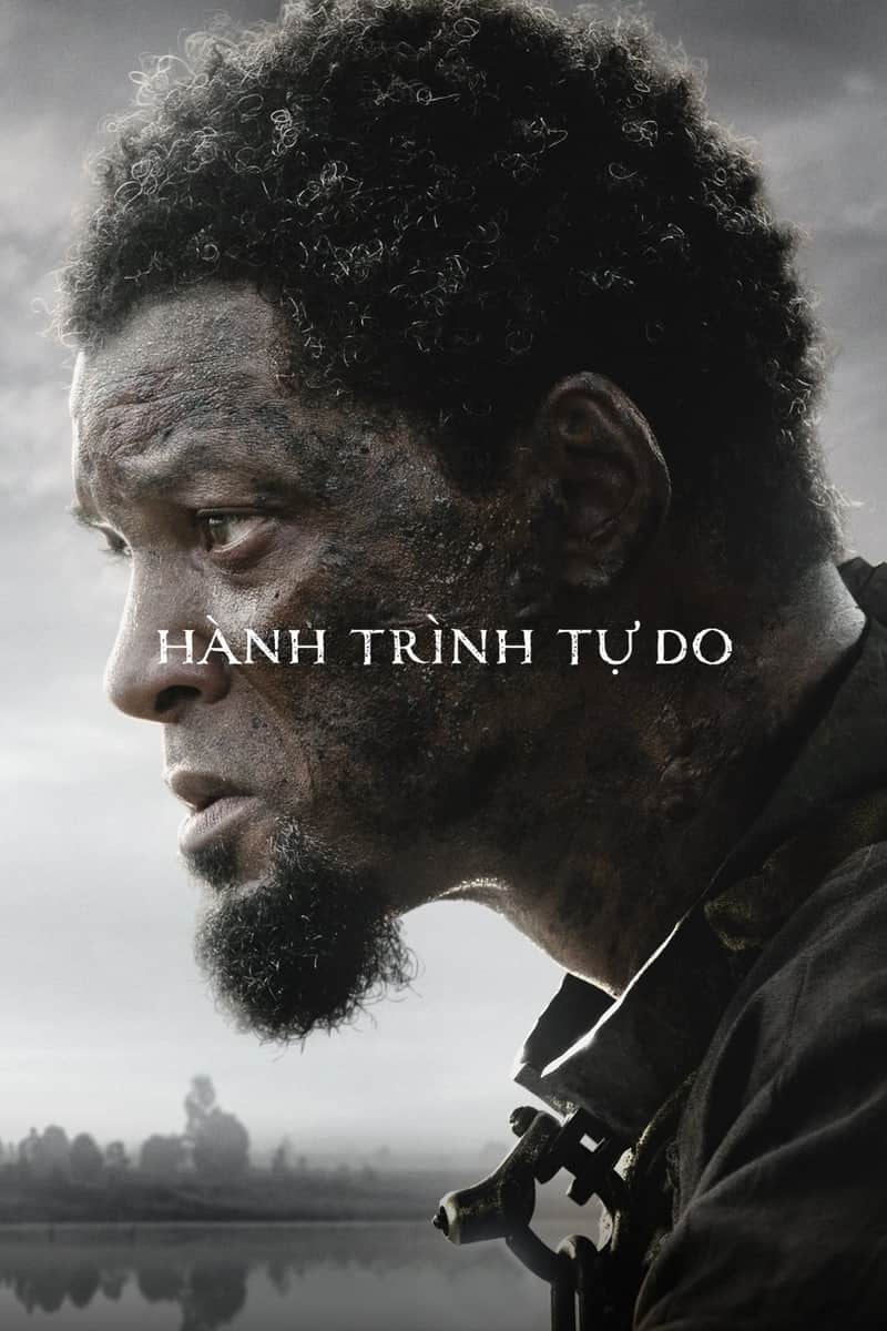 Hành Trình Tự Do