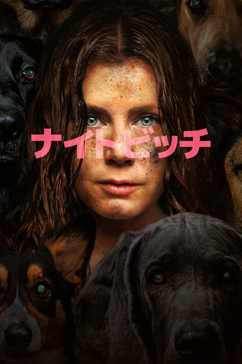 ナイトビッチ