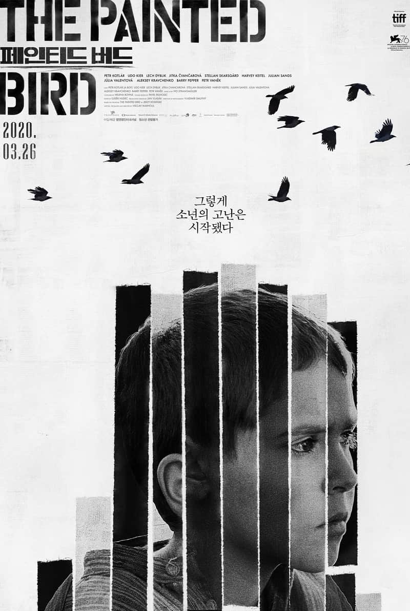 페인티드 버드