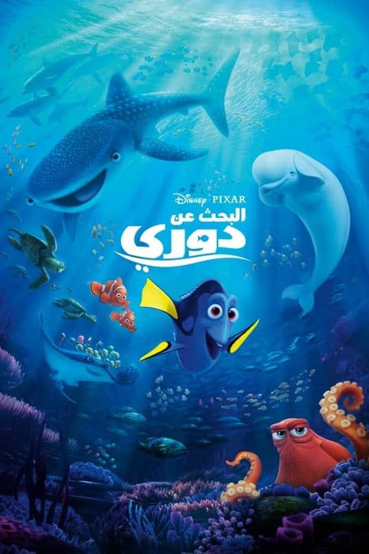 البحث عن دوري