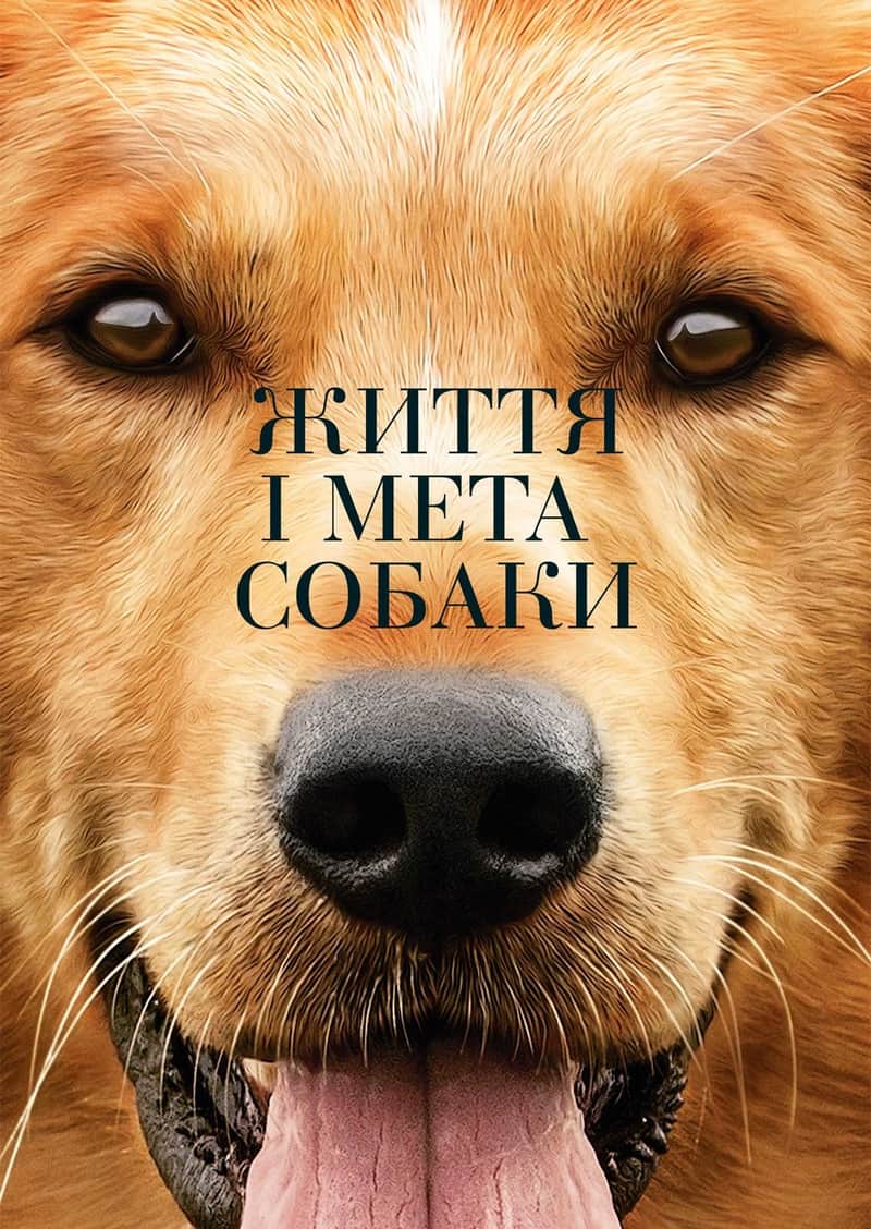 Життя і мета собаки
