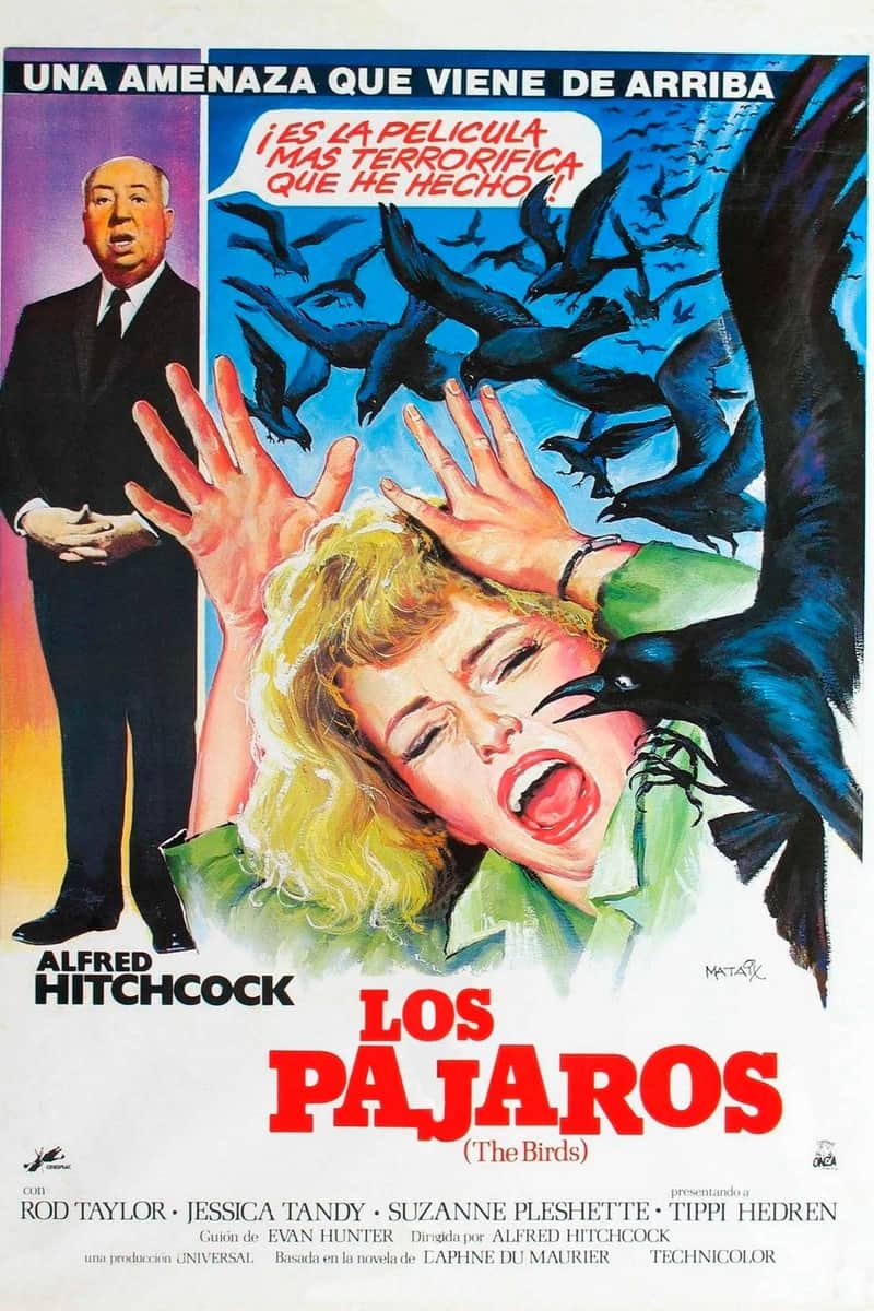 Los pájaros