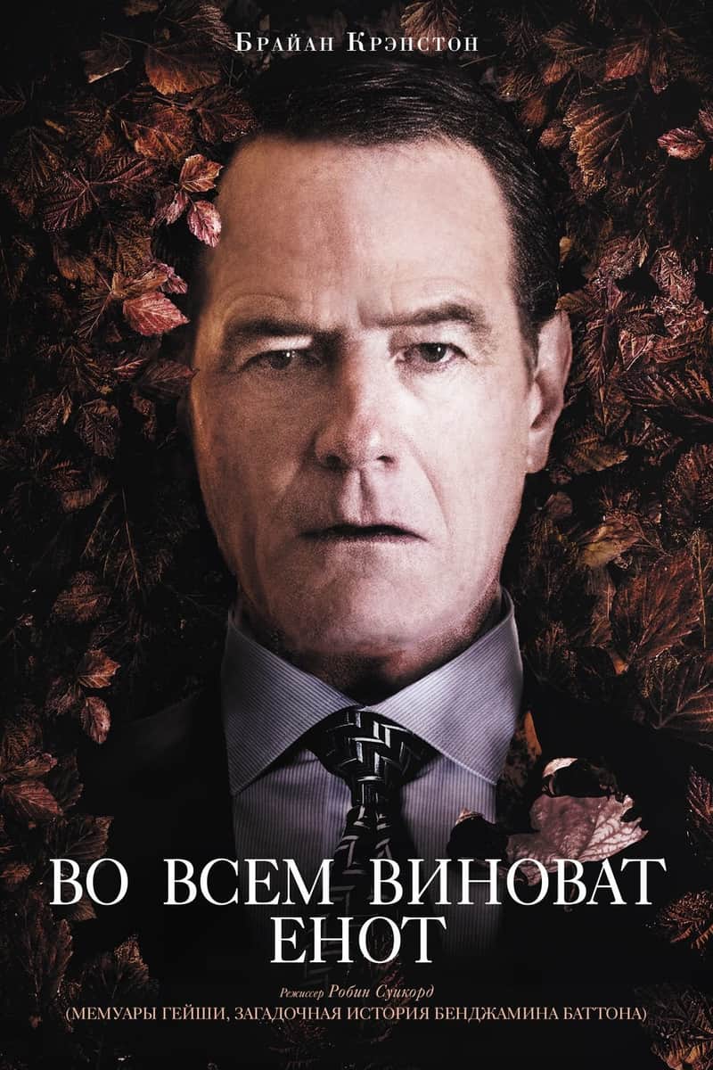 Во всём виноват енот