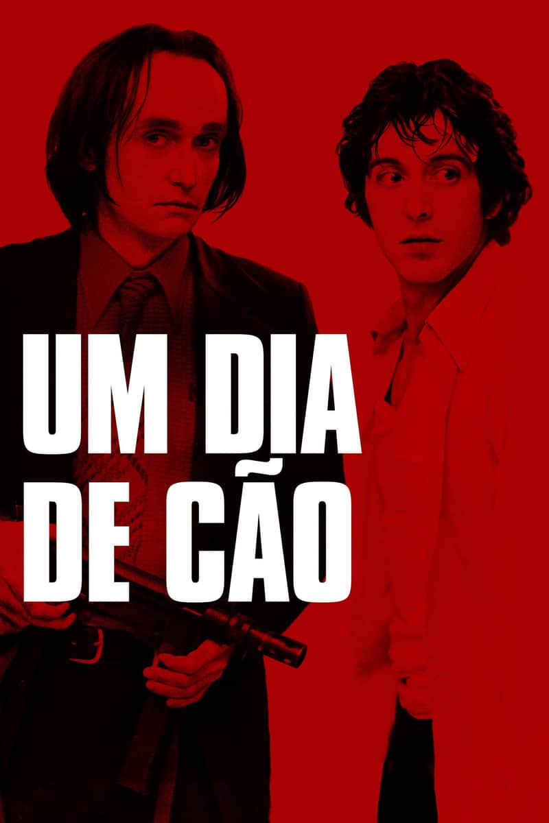 Um Dia de Cão