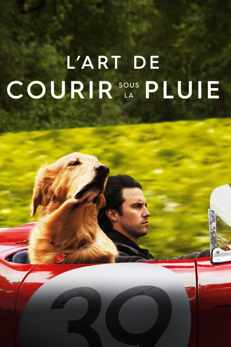 Dans les yeux d'Enzo